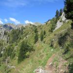 der Wanderweg führt an der steilen Flanke der Cima della Pianca aufwärts