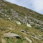 kurz nach der Alpe Albagno zweigt der Bergweg zum Gaggio rechts ab