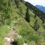 der Wanderweg führt an der steilen Flanke der Cima della Pianca nun abwärts nach Mornera