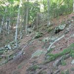 der Weg ist wie auf dem Wegweiser beschrieben extrem steil so wie es im Tessin üblich ist. Kurz nach Punkt 1654 m.ü.M.