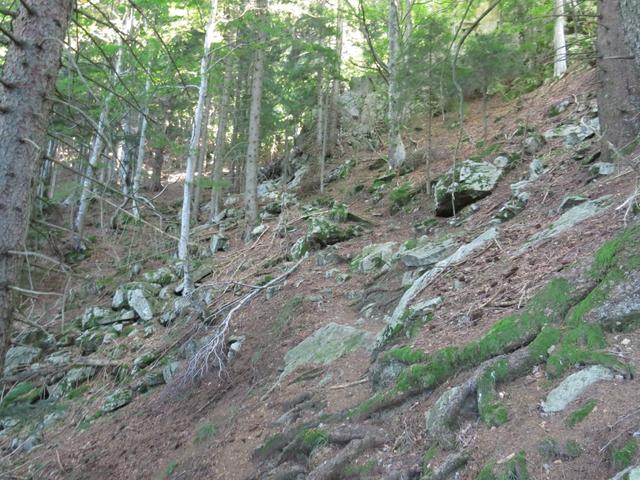 der Weg ist wie auf dem Wegweiser beschrieben extrem steil so wie es im Tessin üblich ist. Kurz nach Punkt 1654 m.ü.M.