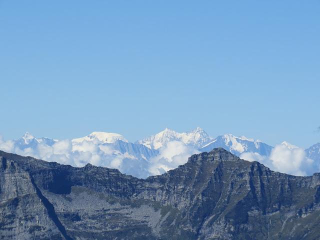 Rimpfischhorn, Alphubel, Täschhorn und Dom