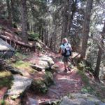 steil führt uns der Weg nun durch die Wälder von Alp di Pissadello abwärts