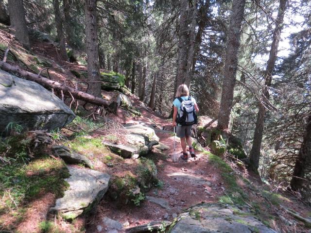 steil führt uns der Weg nun durch die Wälder von Alp di Pissadello abwärts