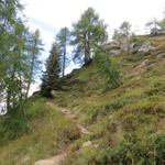 ...führt der Weg uns aufwärts auf die Alp Mognola