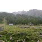 Blick auf die Alp oder Corte Mognola