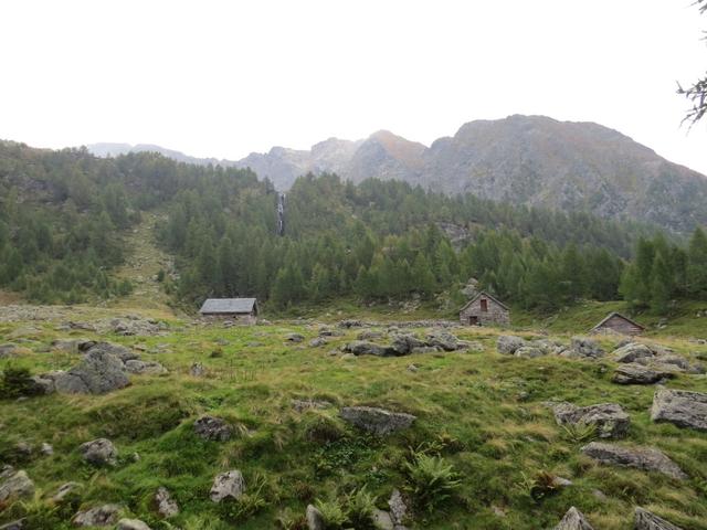 Blick auf die Alp oder Corte Mognola