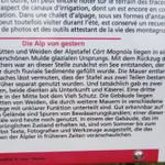 Infotafel zur Alp oder Corte Mognola 1842 m.ü.M.