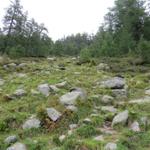 sehr steil führt der Wanderweg nun aufwärts zum Lago di Mognola