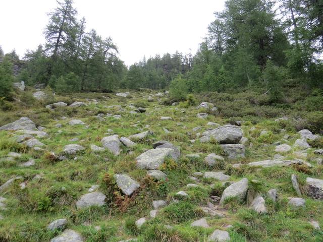 sehr steil führt der Wanderweg nun aufwärts zum Lago di Mognola