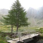 über diese kleine Brücke überquert man den Abluss vom Lago di Mognola, den Ri di Mognola