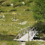 sie führt uns über die kleine Holzbrücke zurück zur Weggabelung