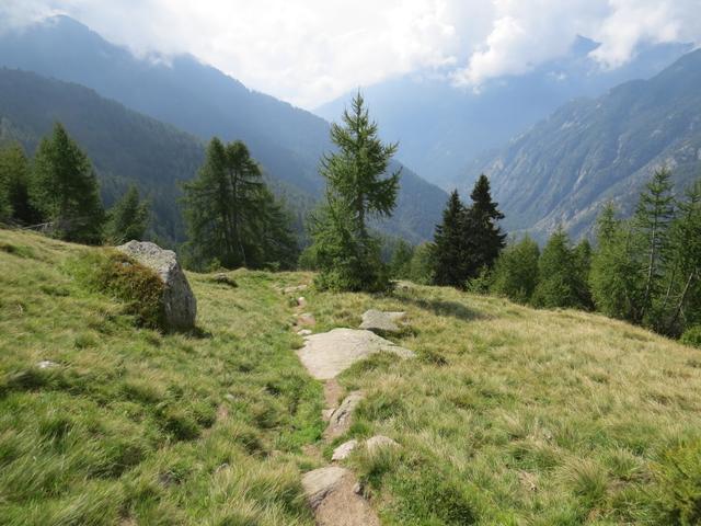 wir verlassen die Alp Corte die Mezzo und steigen ab zu Alp Vacarisc