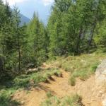 steil wie meistens im Tessin, führt der Weg nun abwärts Richtung Alp Vacarisc