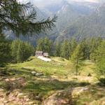 Blick auf die Alp Vacarisc