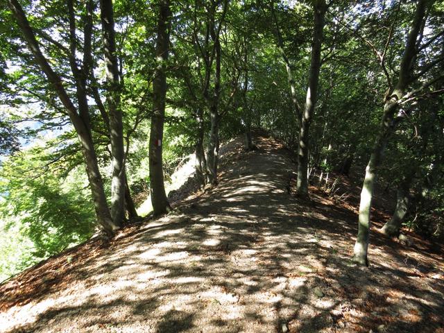 sehr steil führt der Waldweg nun abwärts