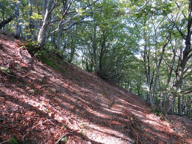 der Weg ist nur schwach ersichtlich