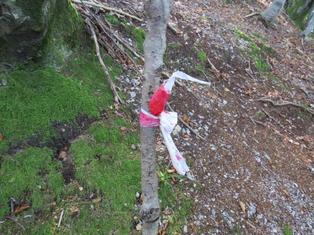 als Markierungen dienen diese weiss-rote Plastik streifen. Wir ahnen böses