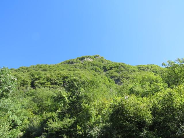 Blick nach oben zur Sighignola. Noch vor kurzem waren wir dort oben