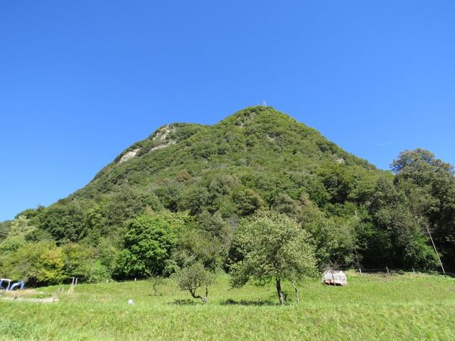 Blick nach oben zur Sighignola. Dieser kleine unscheinbare Hügel besitzt so eine grossartige Aussicht