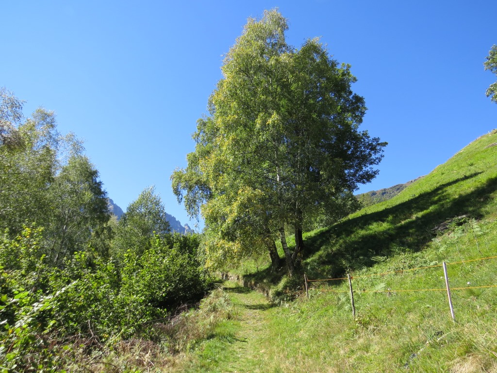 der Weg ist super ausgebaut und markiert