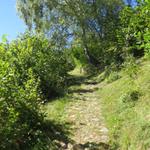 vorbei an Artengo 1338 m.ü.M. wandern wir auf diesem schönen Weg hinauf Richtung Cala