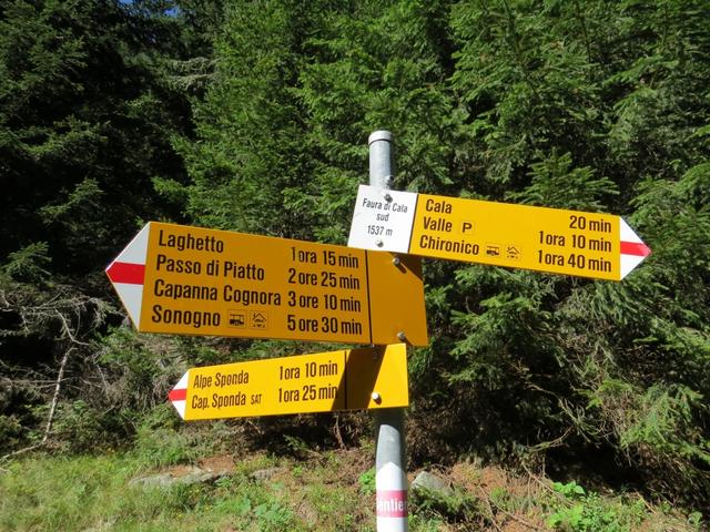 bei Punkt 1537 m.ü.M. wieder eine Weggabelung. Der Hüttenweg biegt nun rechts ab