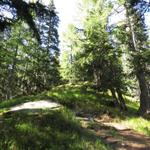 zum Teil wurde wegen den Sturmschäden der Wanderweg neu angelegt