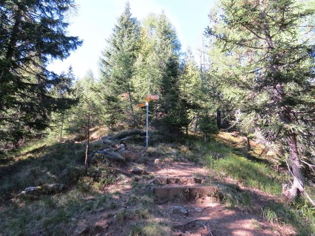 bei der Weggabelung Punkt 1828 m.ü.M. Der von rechts kommende Weg ist der Weg von Cala der nicht mehr unterhaltet wird