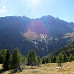 schönes Breitbildfoto der Alpe Sponda