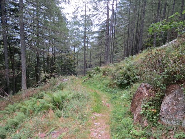 bei Punkt 1376 m.ü.M. wir wandern Talauswärts Richtung Sonogno