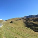 meistens alles am schönen und breiten Grat entlang führt der Bergweg hinauf zum Torrenthorn