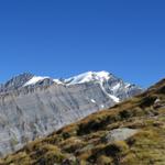 Blick auf das Balmhorn