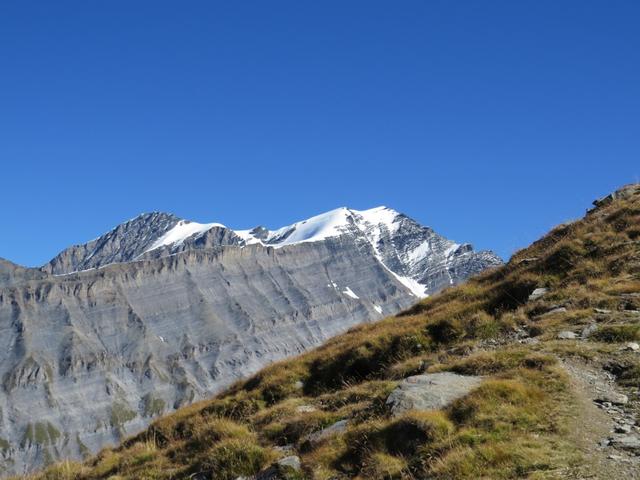 Blick auf das Balmhorn