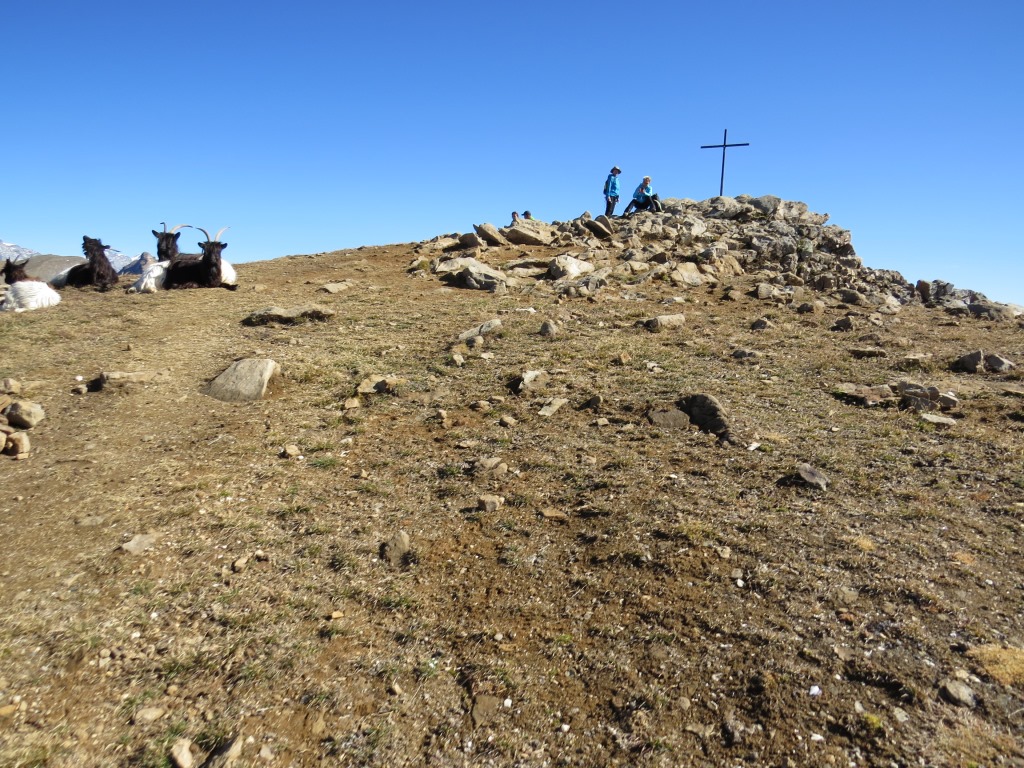 wir haben das Torrenthorn 2998 m.ü.M. erreicht