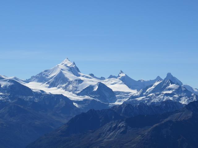 Blick auf Bishorn, Weisshorn, Zinalrothorn und Matterhorn