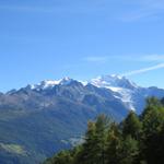 Blick auf den Balfrin, Mischabelgruppe und Riedgletscher