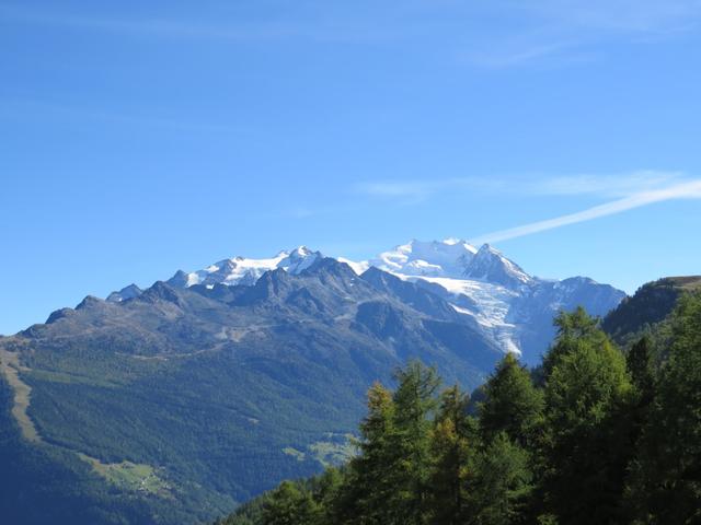 Blick auf den Balfrin, Mischabelgruppe und Riedgletscher