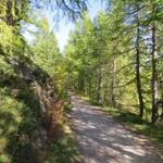 auf breitem und einfachem Wanderweg geht es Richtung Punkt 2040 m.ü.M.