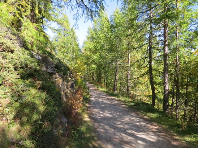 auf breitem und einfachem Wanderweg geht es Richtung Punkt 2040 m.ü.M.