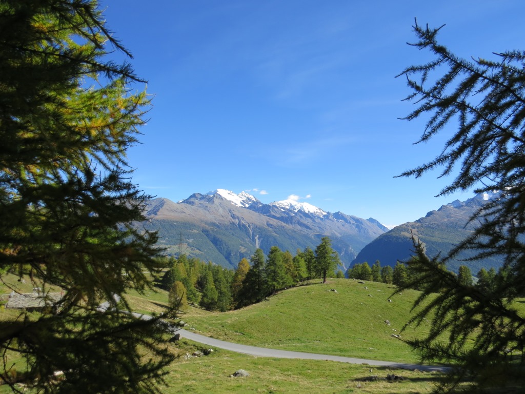 Blick Richtung Fletschhorn, Lagginhorn und Weissmies