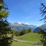 Blick Richtung Fletschhorn, Lagginhorn und Weissmies