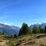 schönes Breitbildfoto mit Fletschhorn, Lagginhorn, Weissmies, Balfrin, Mischabelgruppe und Riedgletscher