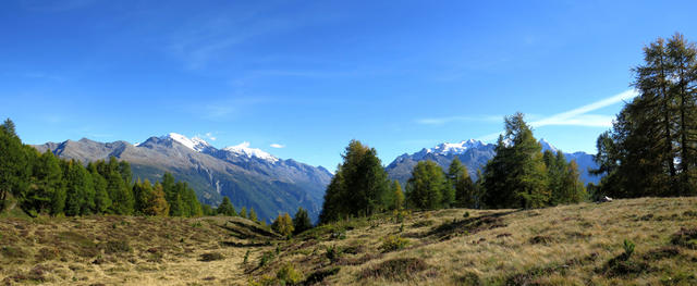 schönes Breitbildfoto mit Fletschhorn, Lagginhorn, Weissmies, Balfrin, Mischabelgruppe und Riedgletscher