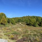 über eine schöne Landschaft wandern wir gemütlich Richtung Stand