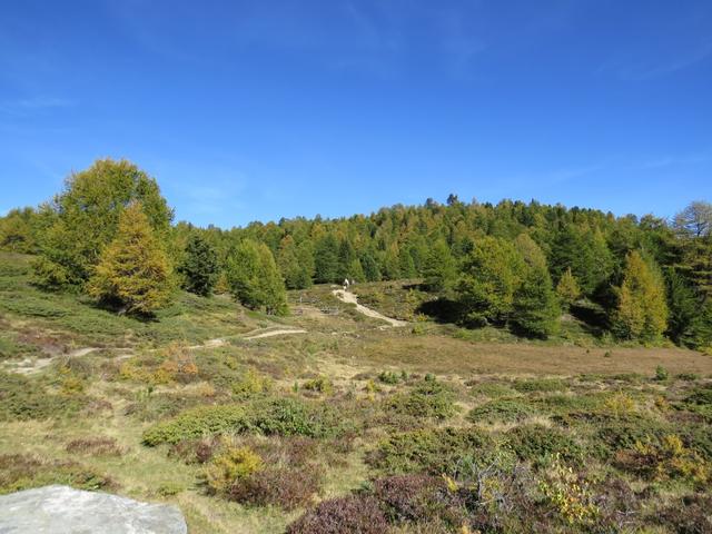 über eine schöne Landschaft wandern wir gemütlich Richtung Stand