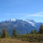 Blick auf den Balfrin, Mischabelgruppe und Riedgletscher