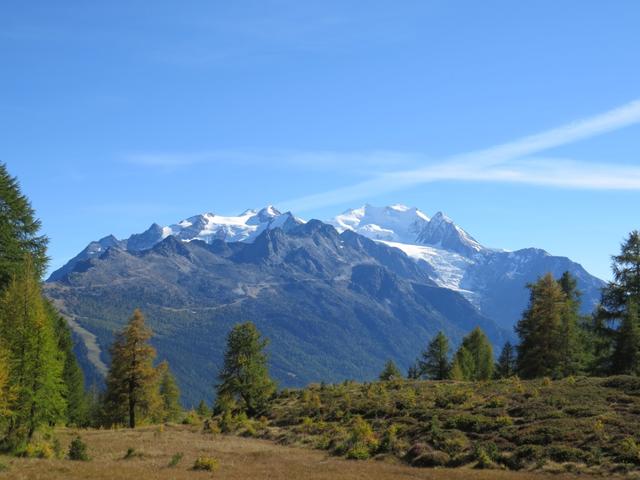 Blick auf den Balfrin, Mischabelgruppe und Riedgletscher