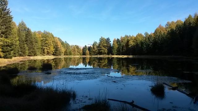 beim schön gelegenen Breitmattensee 2047 m.ü.M.