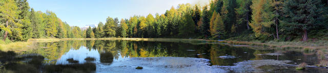 schönes Breitbildfoto vom Breitmattensee